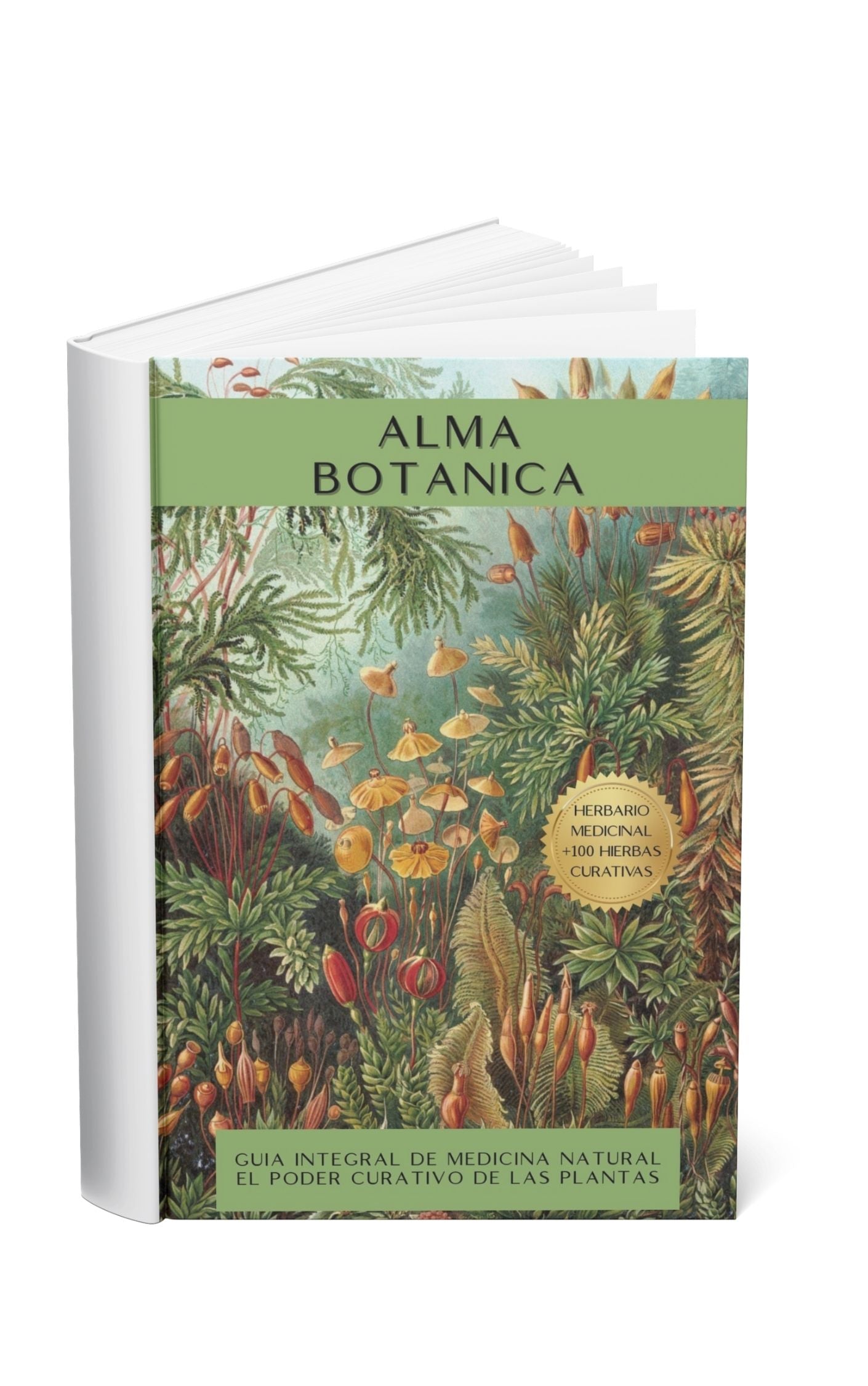 ALMA BOTANICA - Herbario Digital